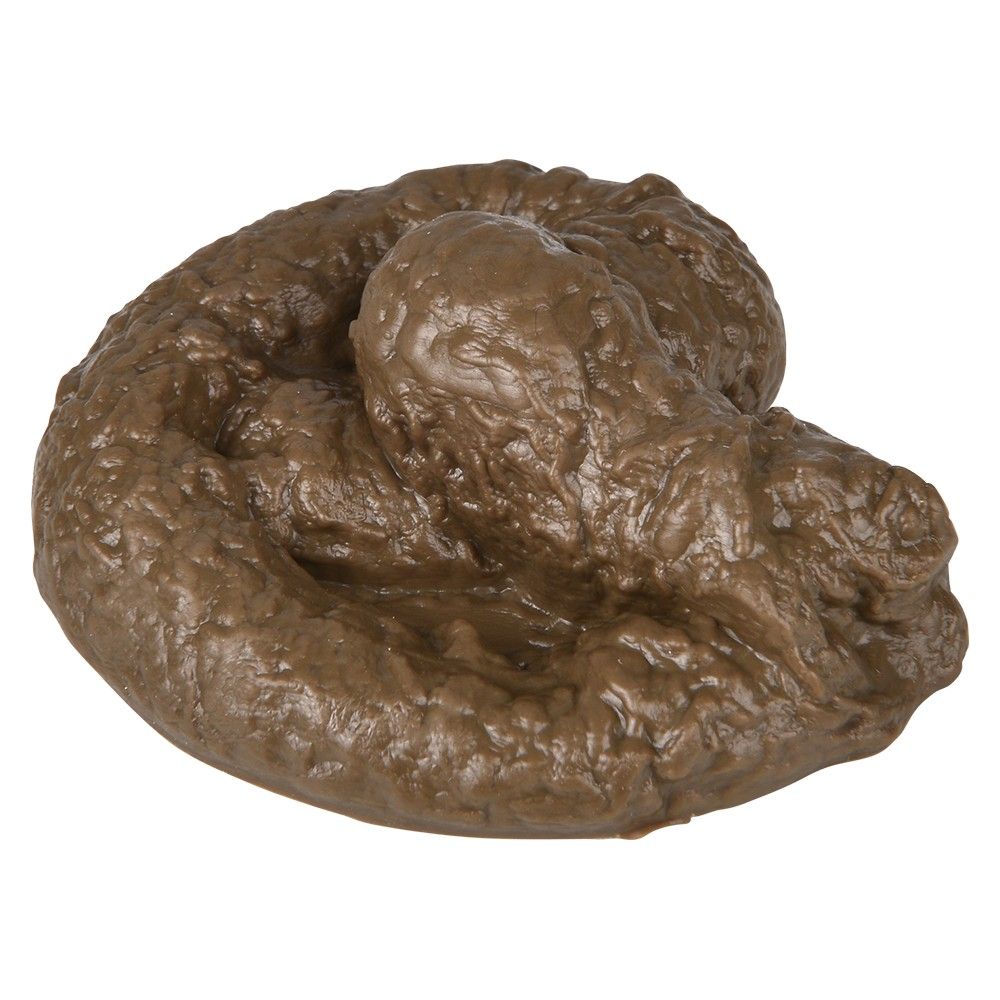 Wholesale Footwear Dog Poo