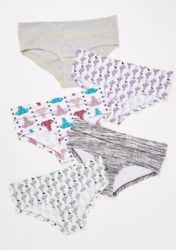 Wholesale Footwear Undies'nbulk Assorted Cuts And Prints 95% Cotton Women's Panties Size Xlarge