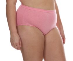 Wholesale Footwear Yacht & Smith Womens Cotton Lycra Underwear, Panty Briefs, 95% Cotton Soft Assorted Colors, Size 2X-Large