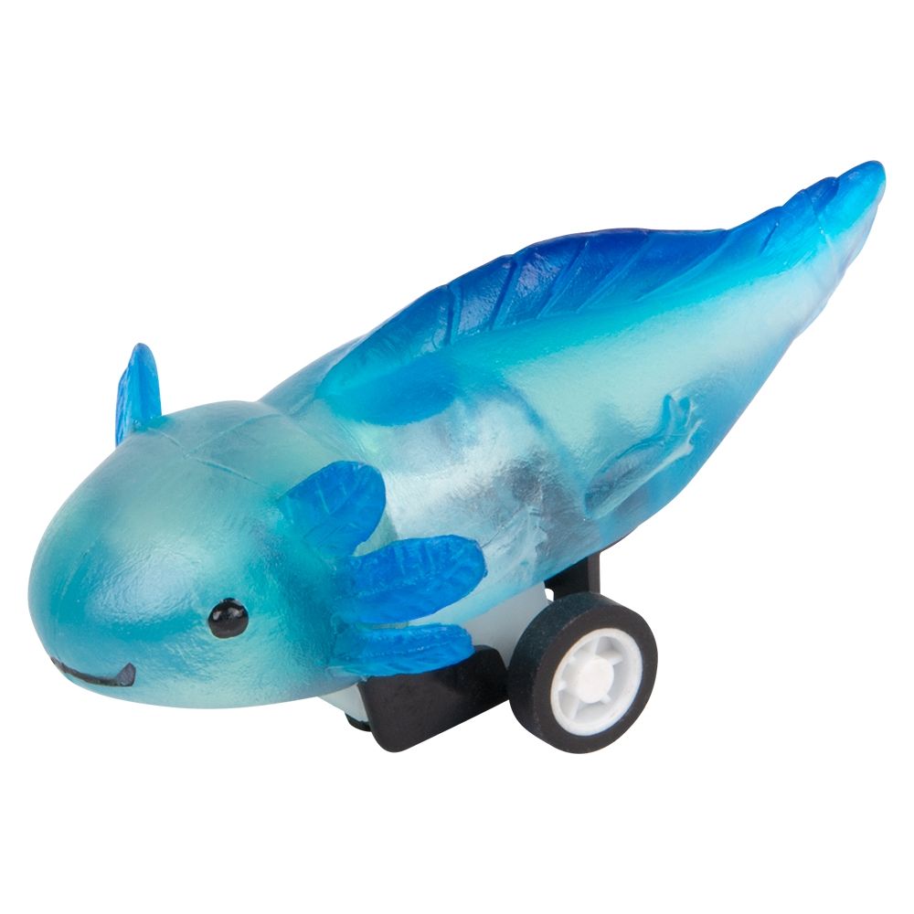 Wholesale Footwear 2.5" Pull Back Axolotl 24ct