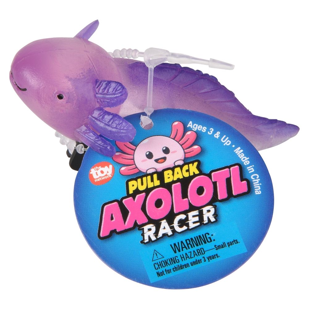 Wholesale Footwear 2.5" Pull Back Axolotl 24ct