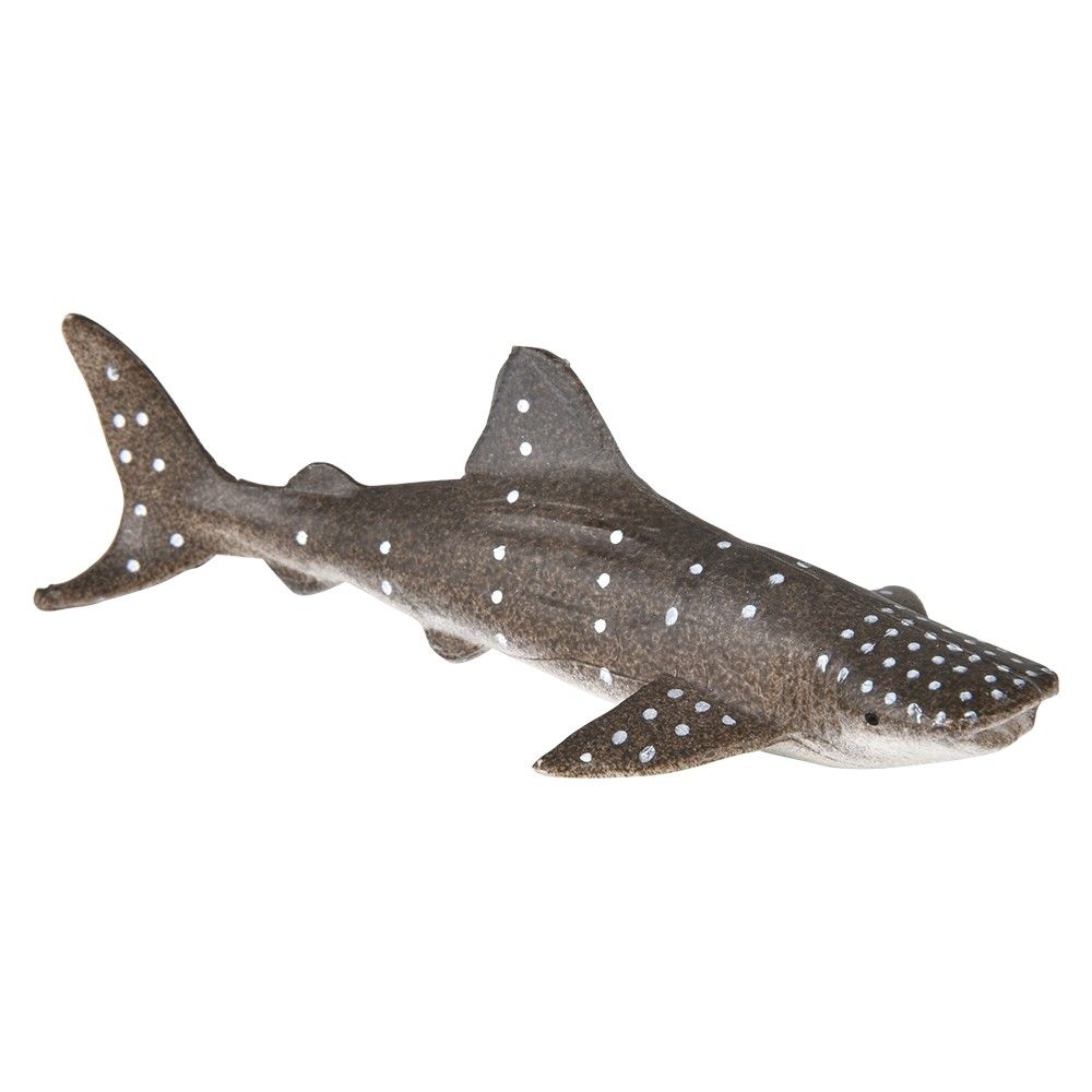 Wholesale Footwear Research Pod Whale And Shark