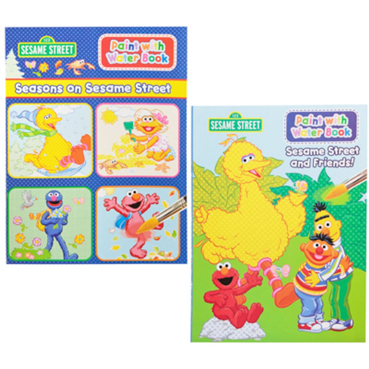 Wholesale Footwear Paint W/water Book Sesame Streetin Pdq