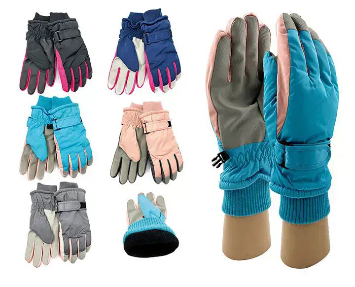Wholesale Footwear Womens Heavy Duty Winter Touch Gloves In Assorted Colors