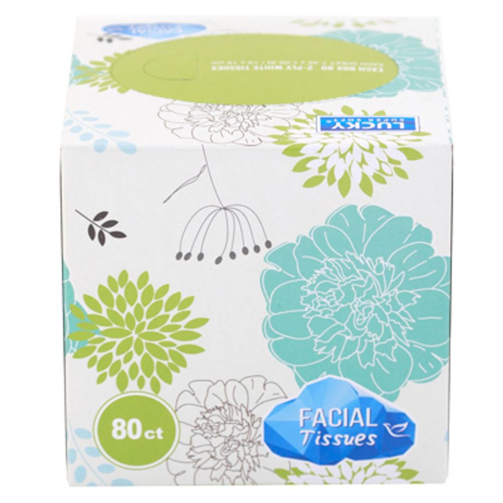 Wholesale Footwear Facial Tissue 80ct Cube Box Lucky Super Soft