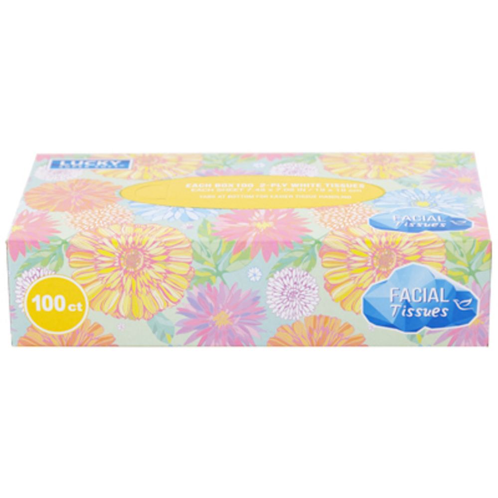 Wholesale Footwear Facial Tissues 100ct Flat Box Lucky Super Soft