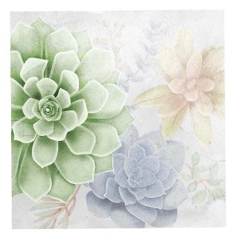 Wholesale Footwear Green Succulent Canvas 15 X 15 Inches